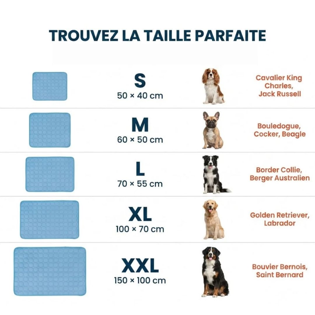 Tapis rafraîchissant pour chien