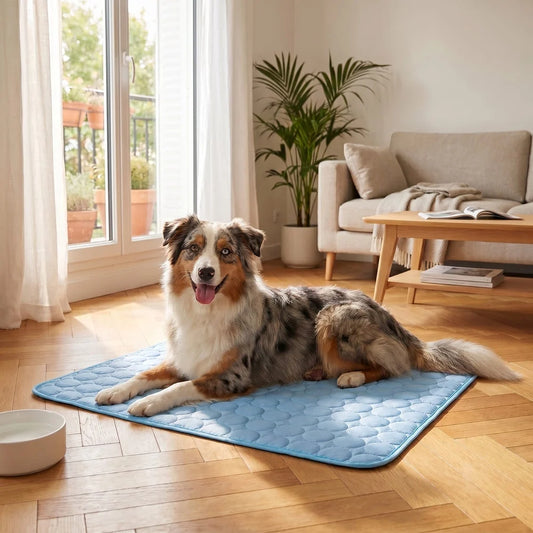 Tapis rafraîchissant pour chien
