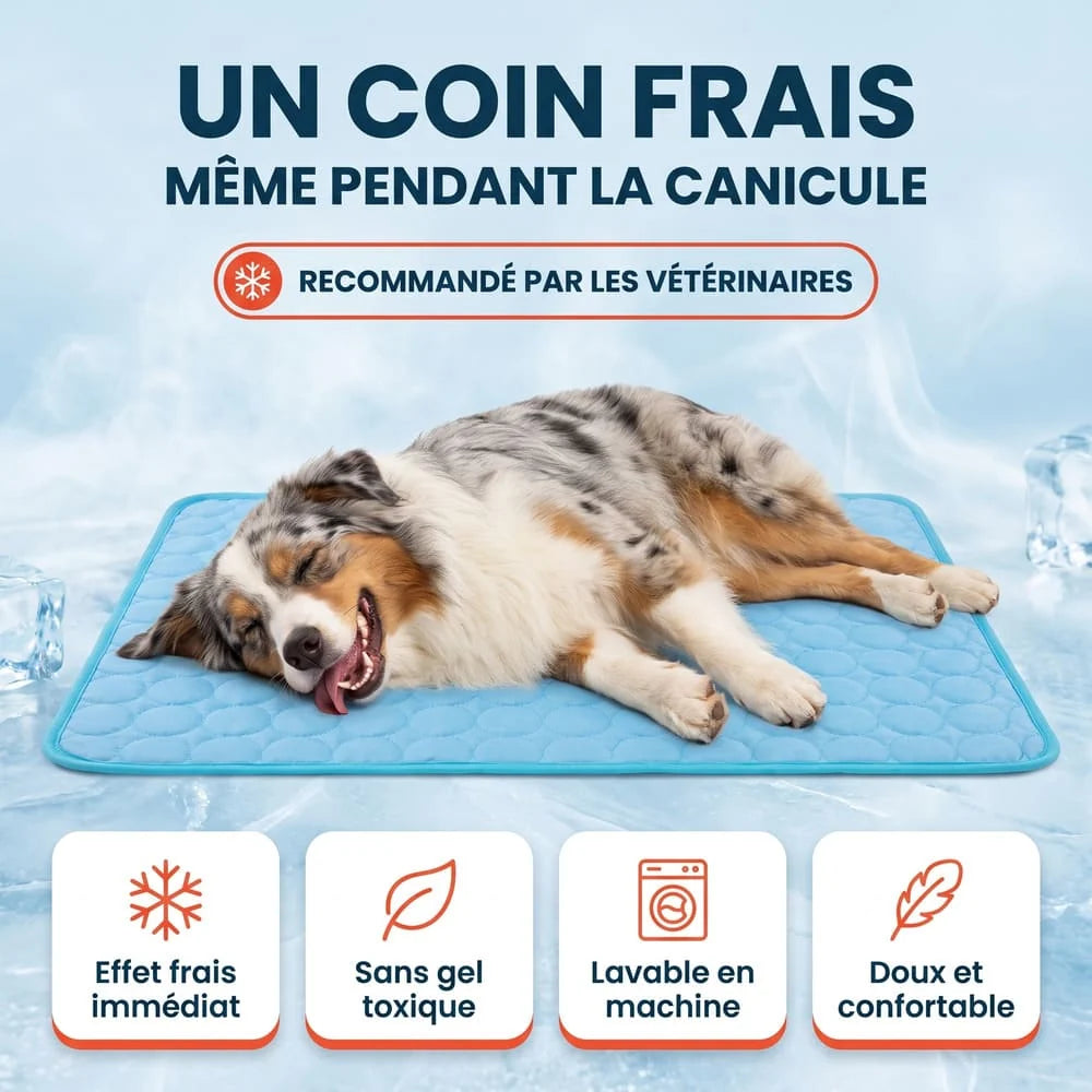 Tapis rafraîchissant pour chien